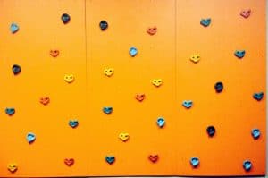 Climbing Wall Panel