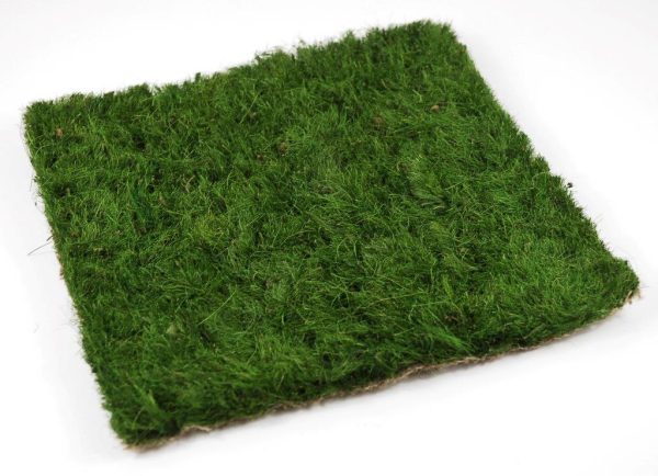 Synthetic Turf