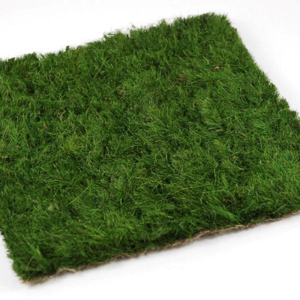 2012 08 20_0679_edited-1