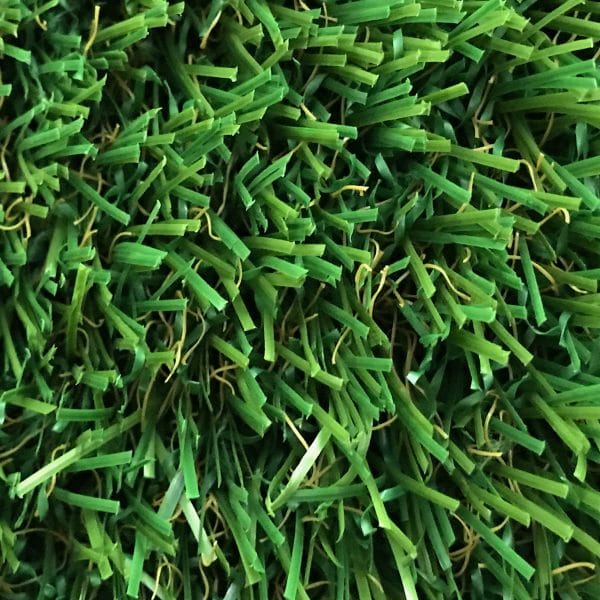 IMG_3574.JPG-1 natural look