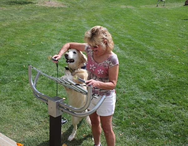 Aria Outdoor Musical Instrument Aria Outdoor Musical Instrument