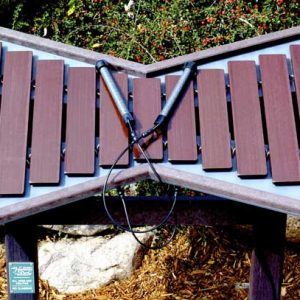 Cadence Outdoor Musical Instrument