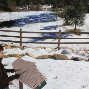 Pagasus Outdoor Musical Instrument
