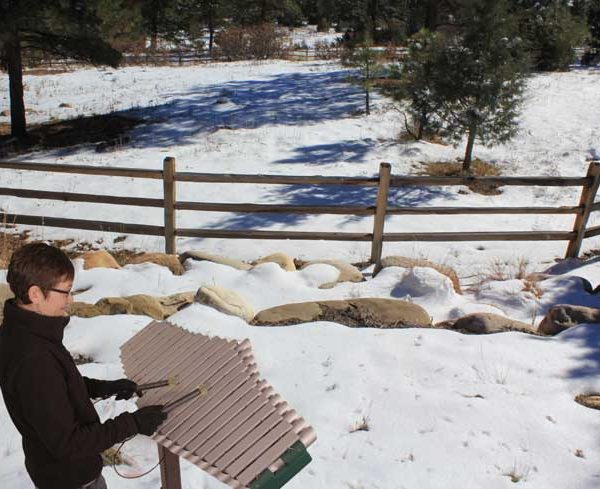 Pagasus Outdoor Musical Instrument